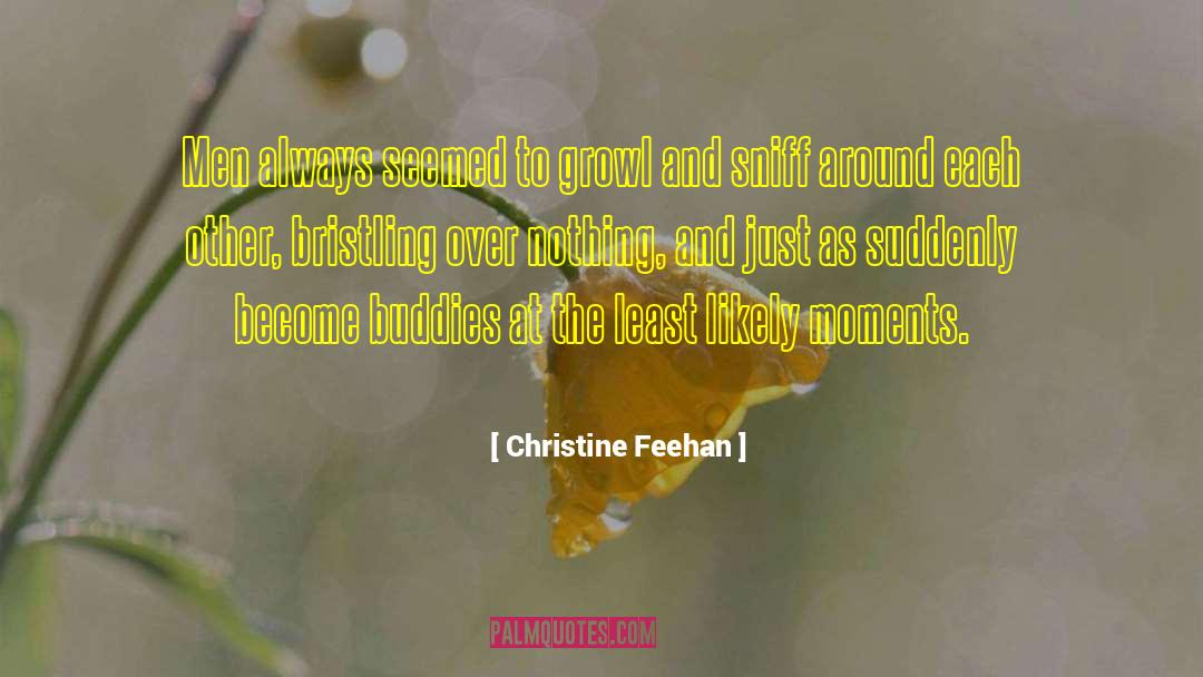 Posturing quotes by Christine Feehan