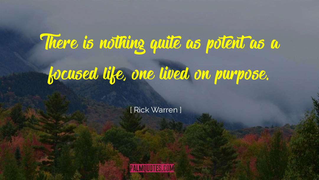 Potent quotes by Rick Warren