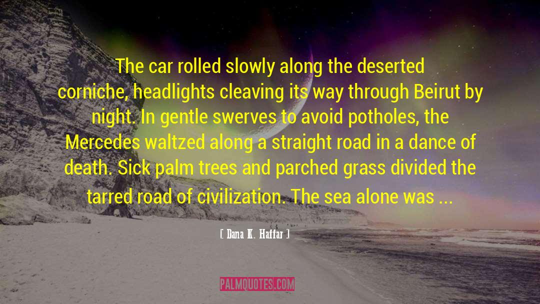 Potholes quotes by Dana K. Haffar
