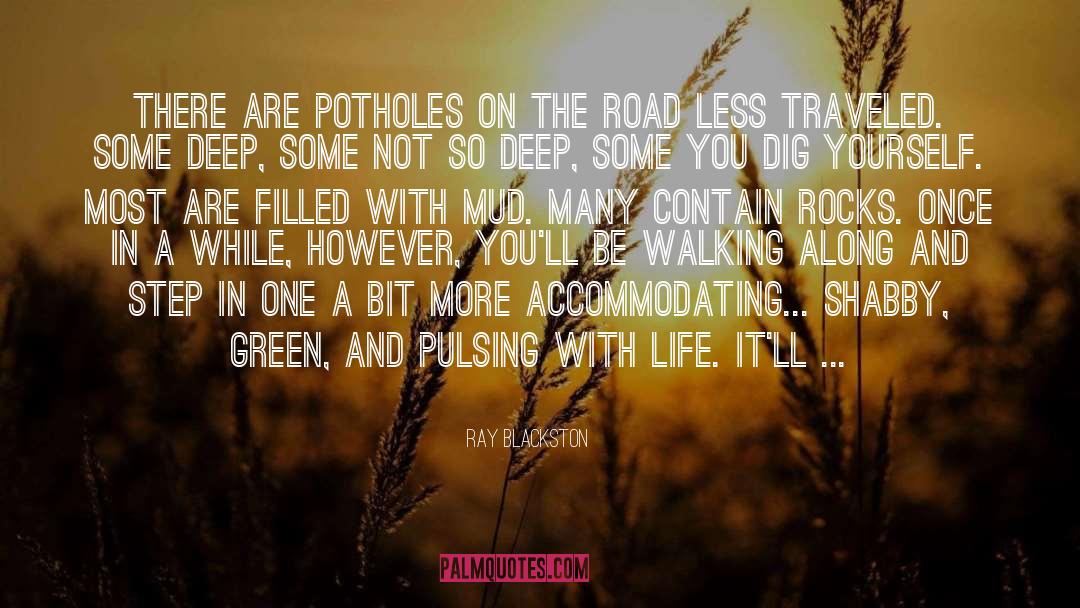 Potholes quotes by Ray Blackston