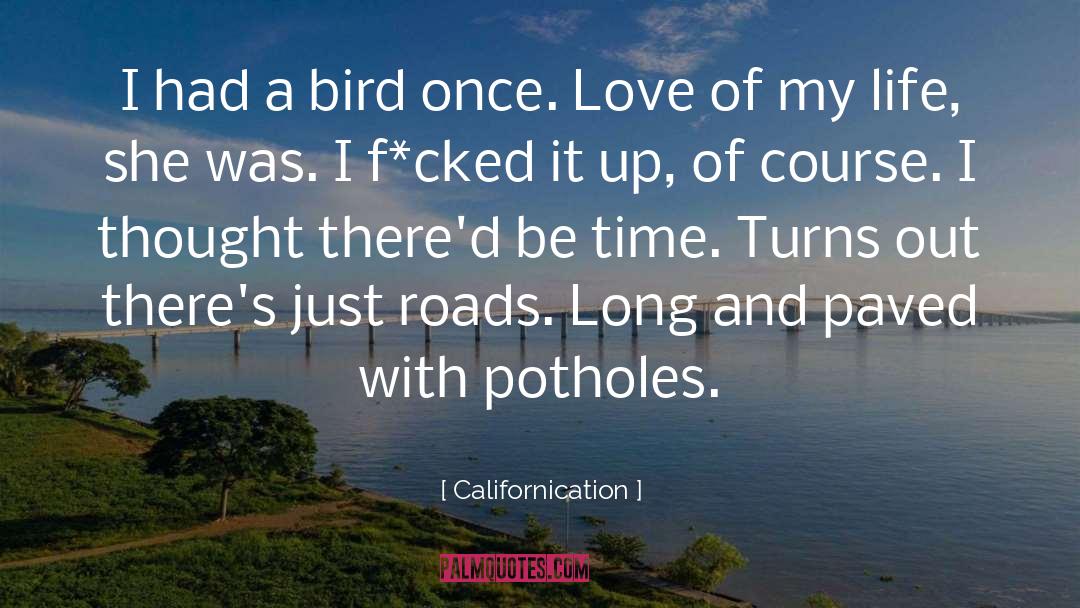 Potholes quotes by Californication