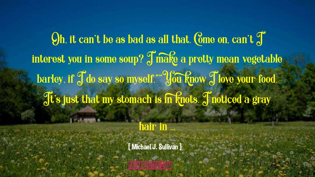 Pots And Pans quotes by Michael J. Sullivan