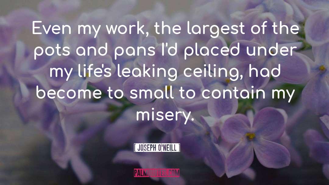 Pots And Pans quotes by Joseph O'Neill