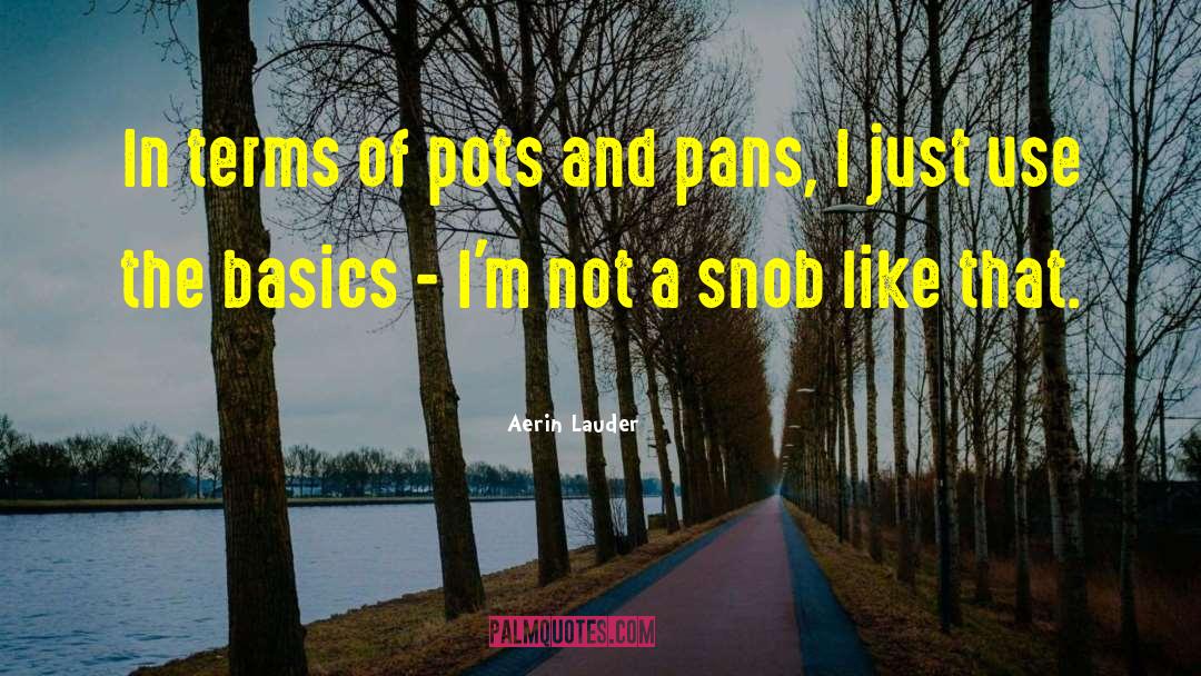 Pots And Pans quotes by Aerin Lauder