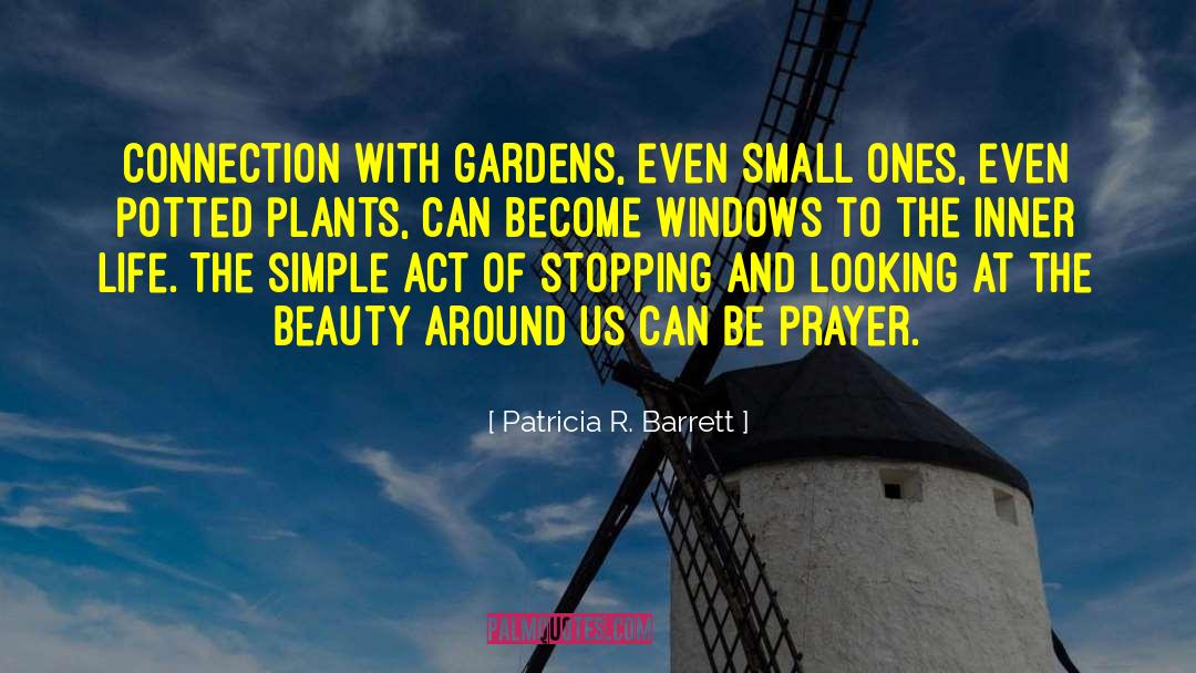 Potted Plants quotes by Patricia R. Barrett