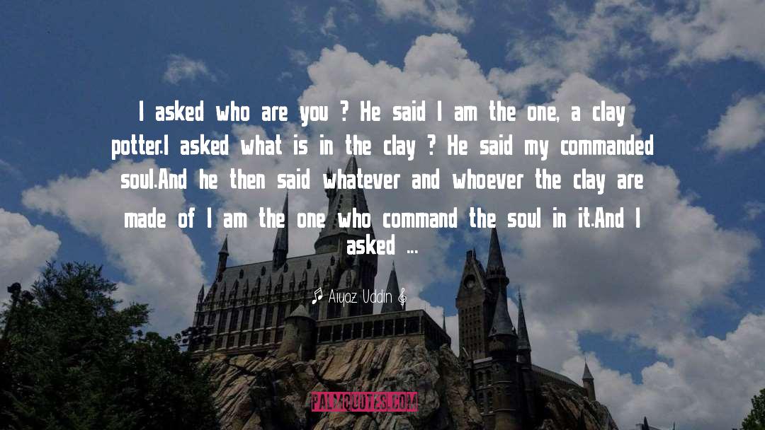 Potter quotes by Aiyaz Uddin