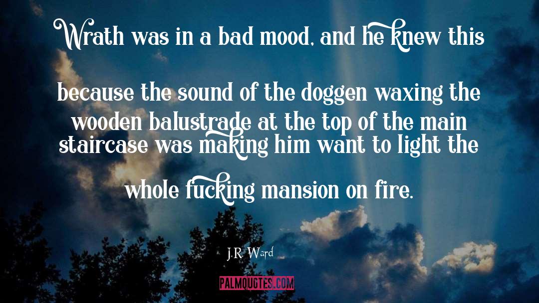 Pottorff Fire quotes by J.R. Ward