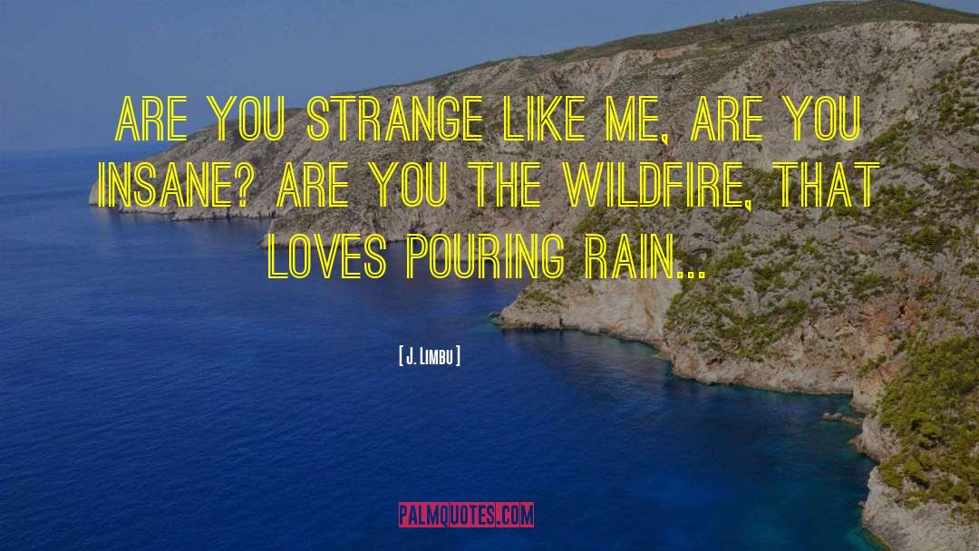 Pouring Rain quotes by J. Limbu