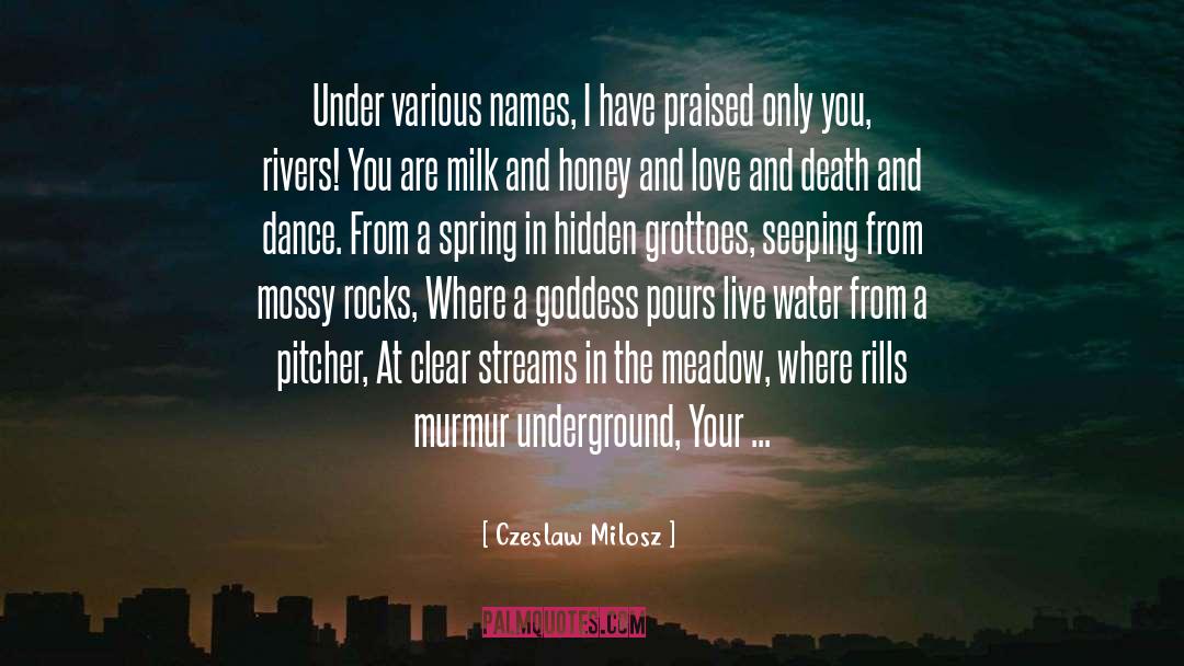 Pours quotes by Czeslaw Milosz