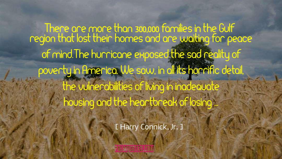 Poverty In America quotes by Harry Connick, Jr.