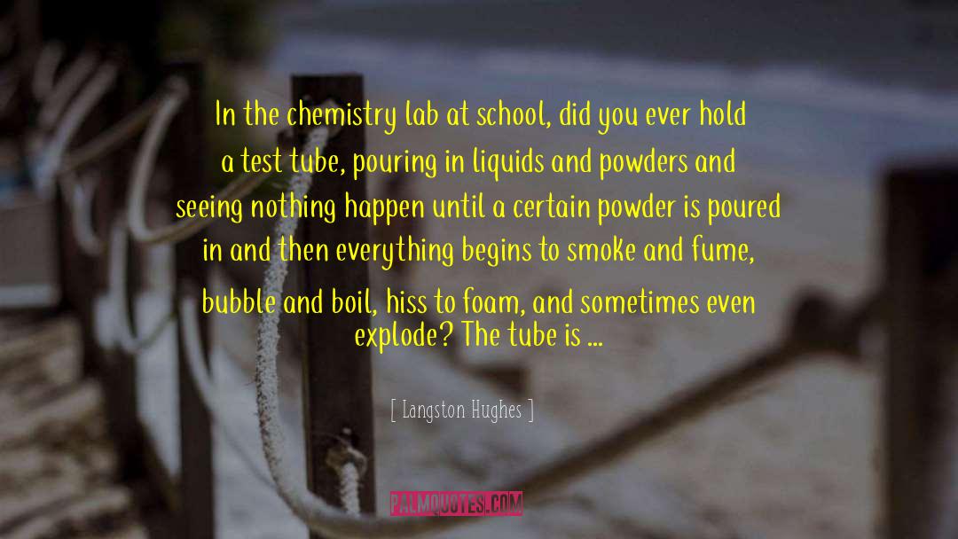 Powder Skis quotes by Langston Hughes
