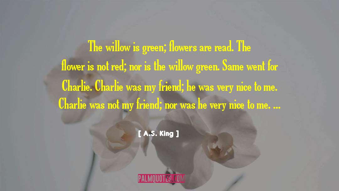 Powderface Willow quotes by A.S. King