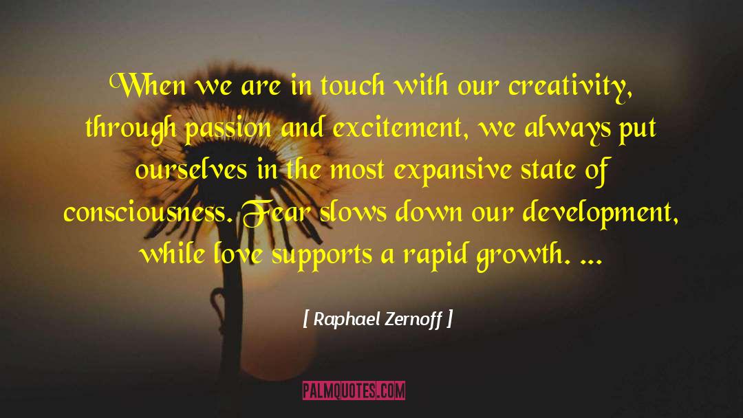 Power And Fear quotes by Raphael Zernoff