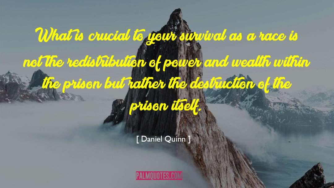 Power And Wealth quotes by Daniel Quinn