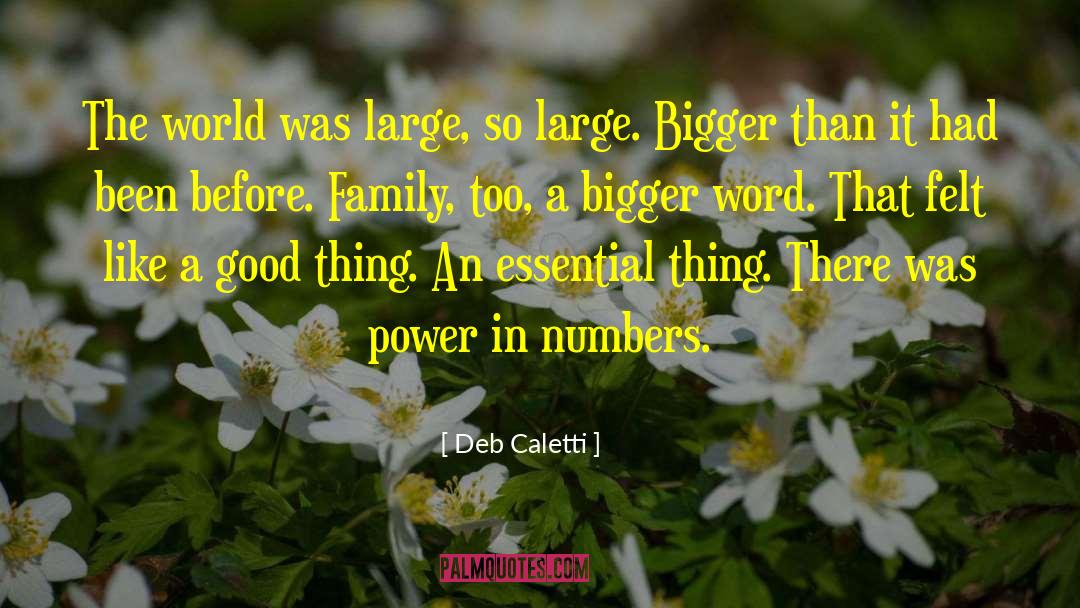 Power In Numbers quotes by Deb Caletti