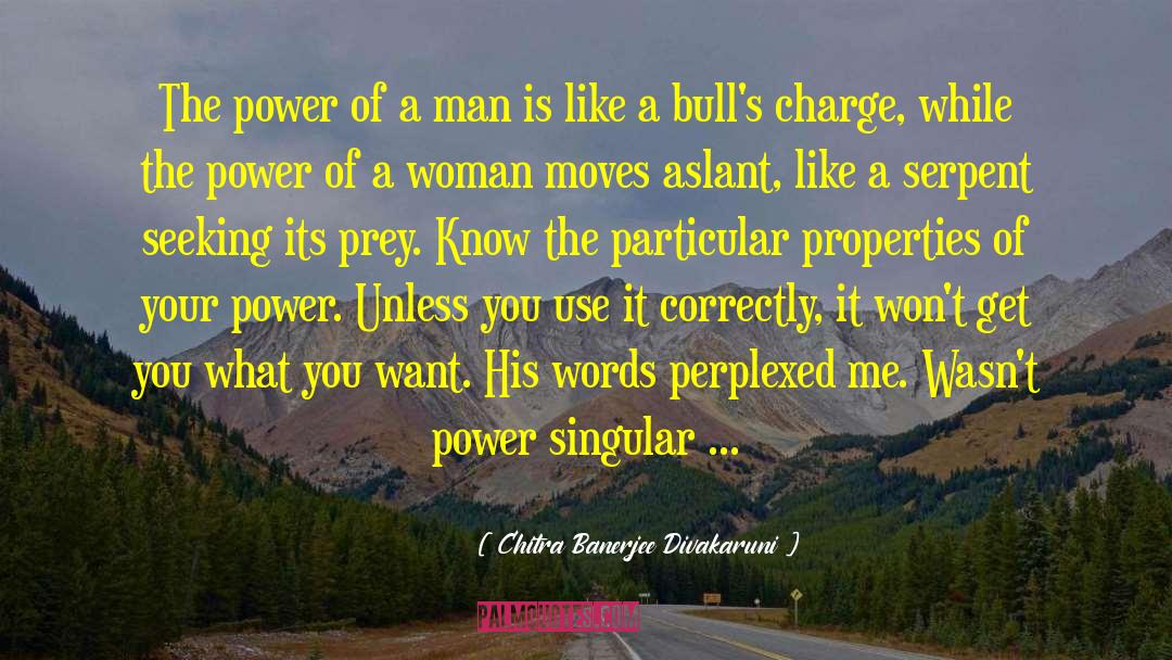 Power Of A Woman quotes by Chitra Banerjee Divakaruni