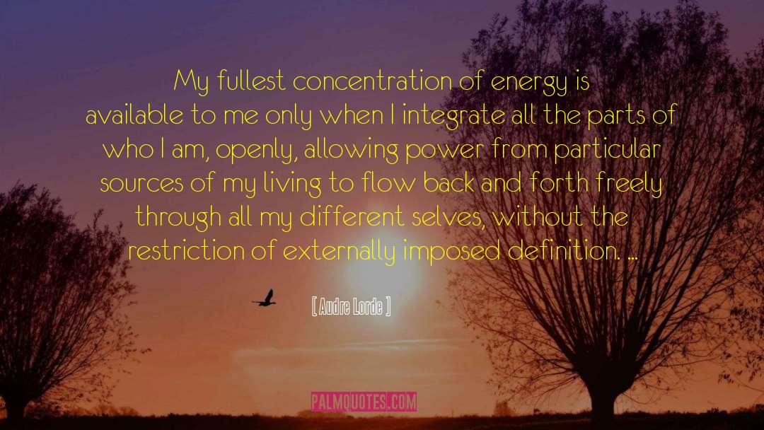 Power Of Concentration quotes by Audre Lorde
