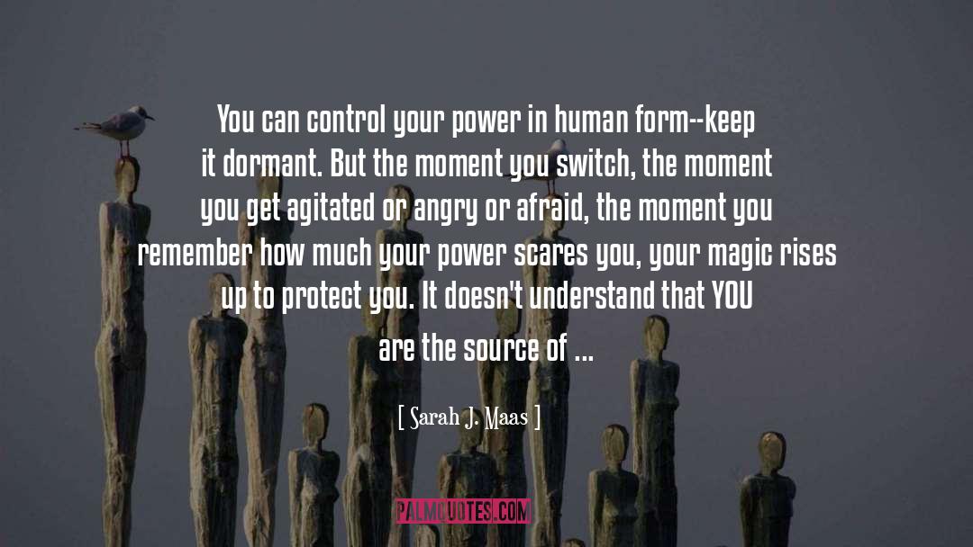 Power Of Knowledge quotes by Sarah J. Maas