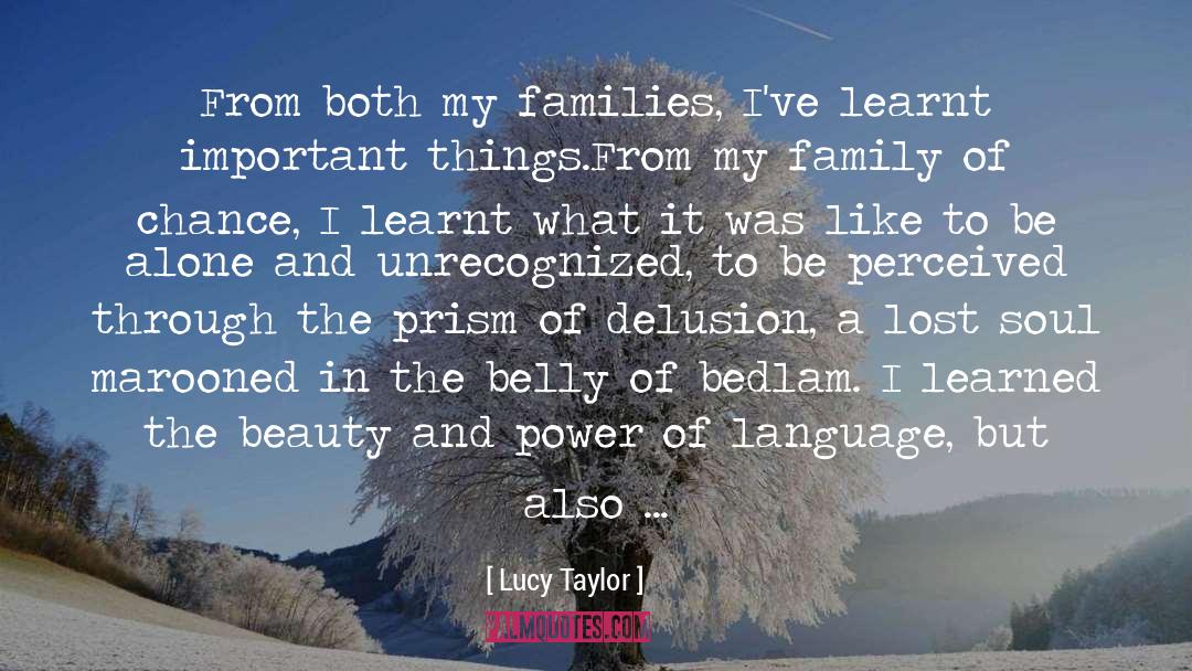 Power Of Language quotes by Lucy Taylor