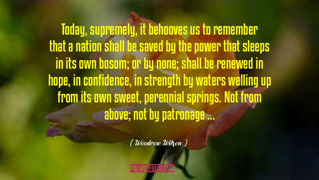 Power Of Patience quotes by Woodrow Wilson
