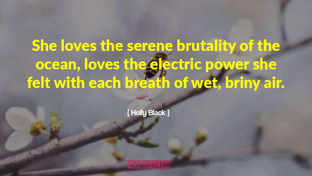 Power Of The Breath quotes by Holly Black