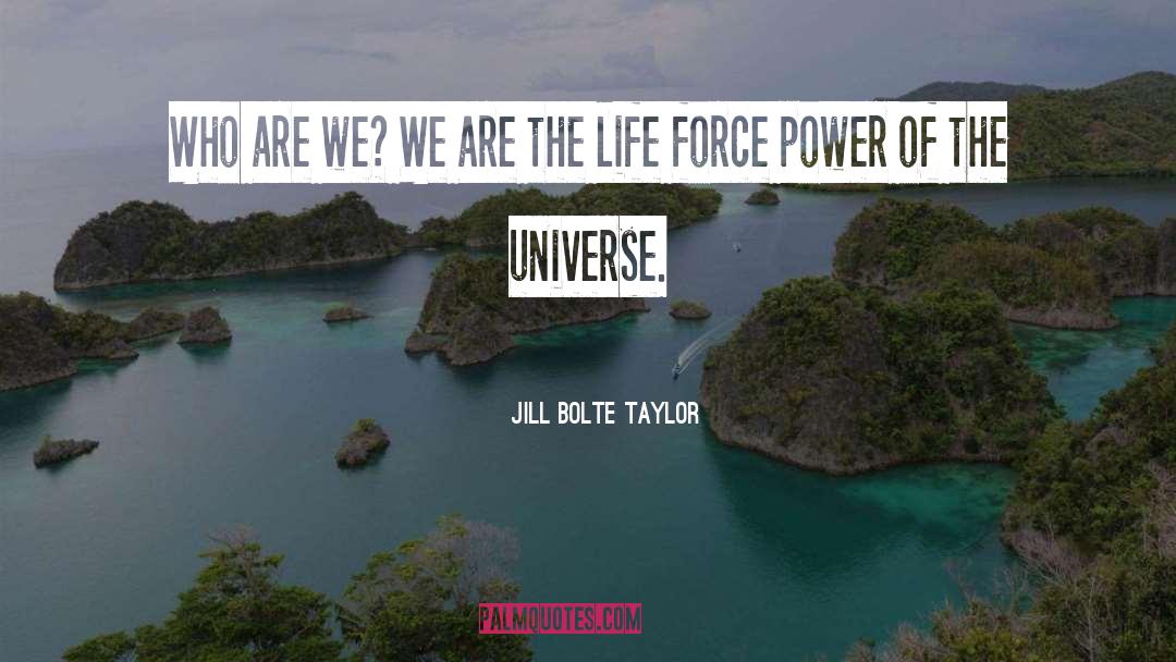 Power Of The Universe quotes by Jill Bolte Taylor