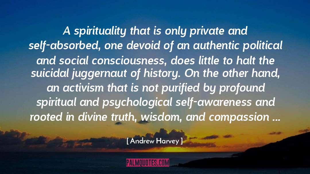 Power Of Wisdom quotes by Andrew Harvey