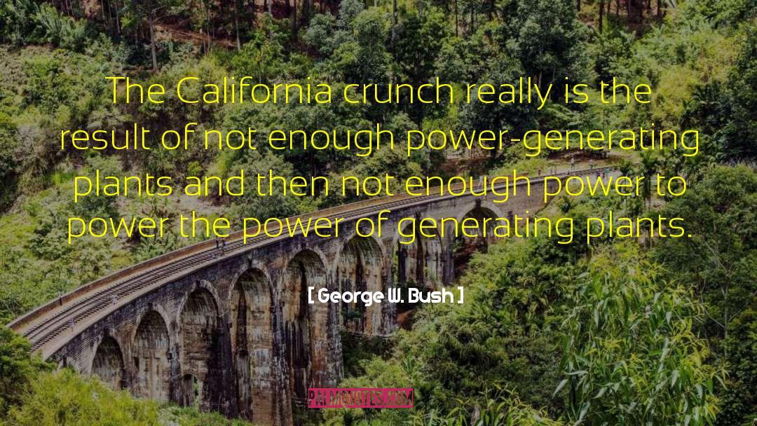 Power Plants quotes by George W. Bush