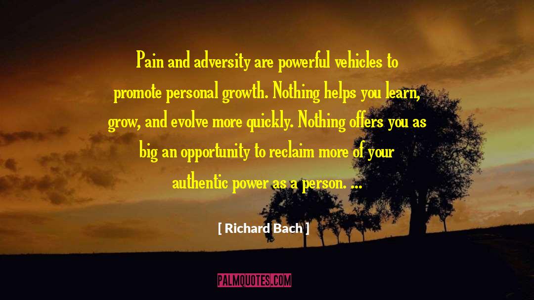 Power To Win quotes by Richard Bach