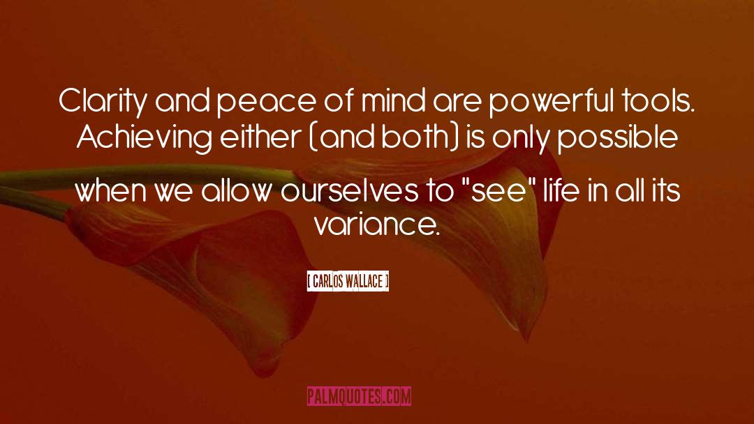 Powerful Connections quotes by Carlos Wallace