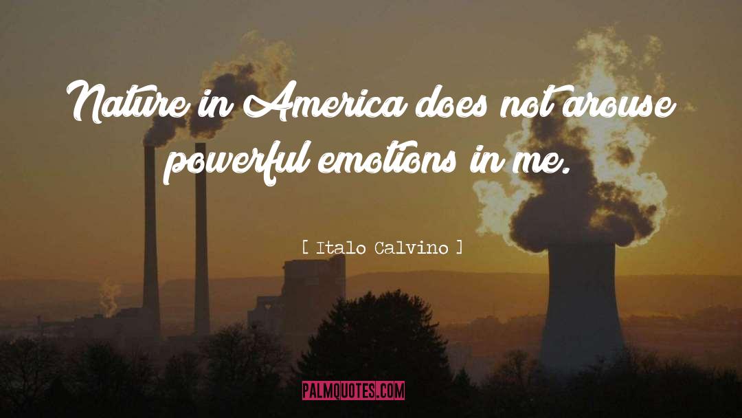 Powerful Emotions quotes by Italo Calvino