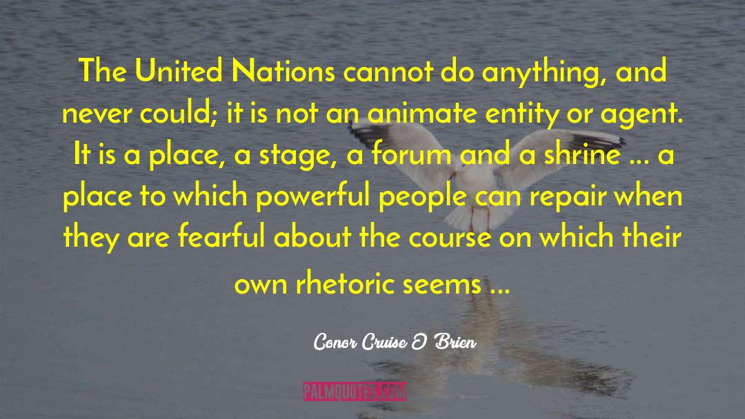 Powerful Government quotes by Conor Cruise O'Brien