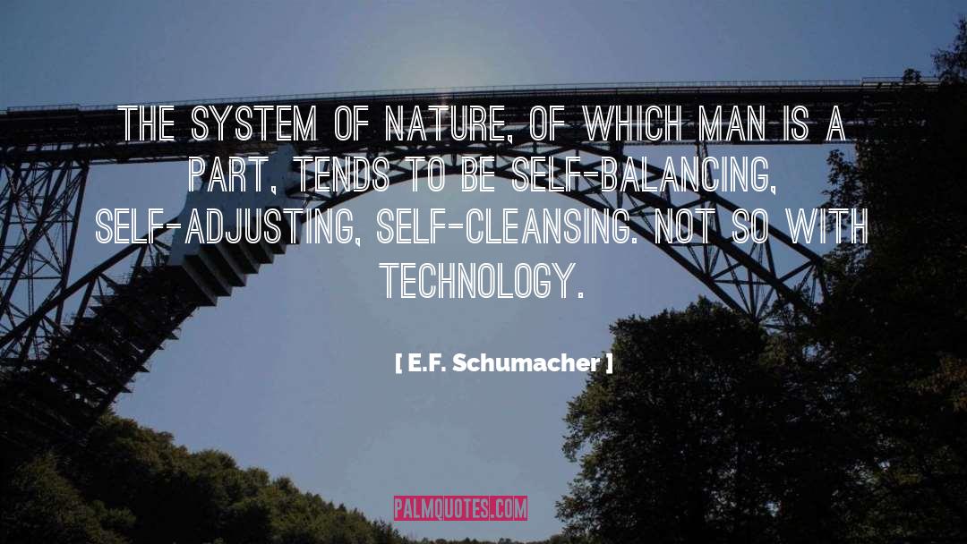 Powerful Man quotes by E.F. Schumacher