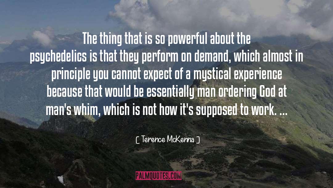 Powerful Men quotes by Terence McKenna
