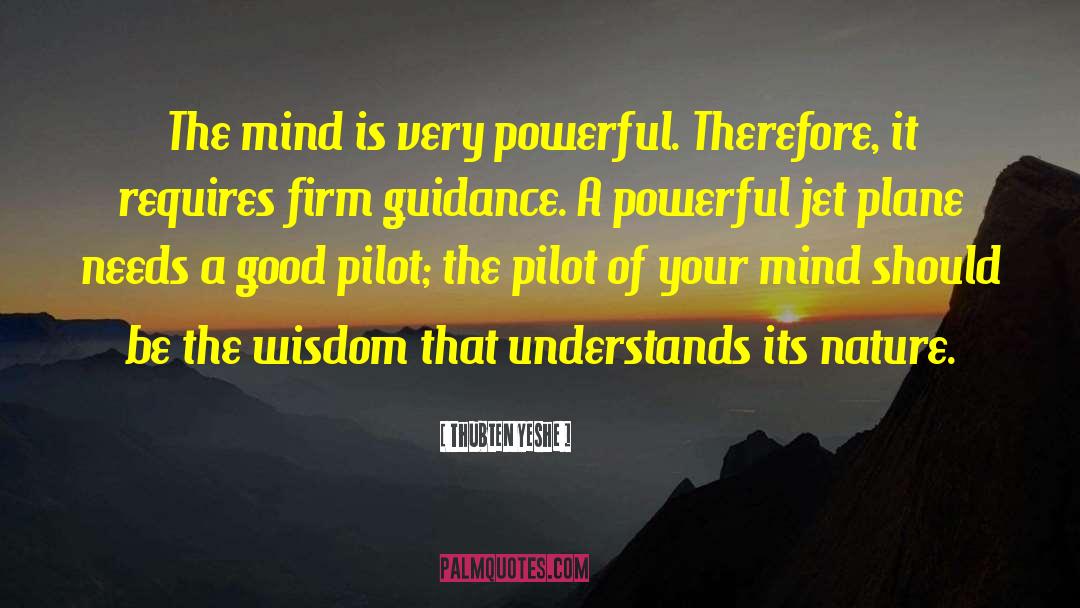 Powerful Mind quotes by Thubten Yeshe