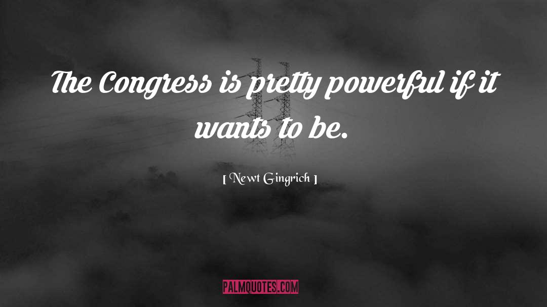 Powerful Poetry quotes by Newt Gingrich
