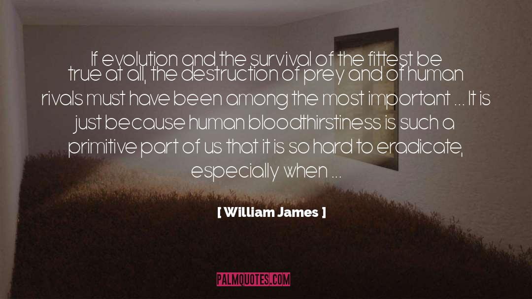 Powerful Survival Fight quotes by William James