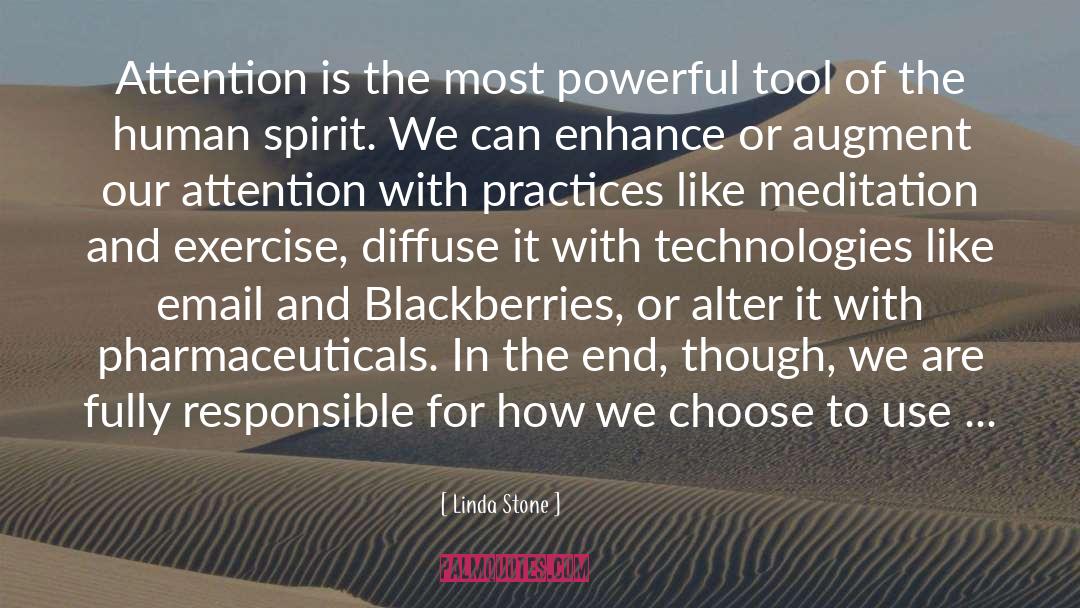 Powerful Weapons quotes by Linda Stone