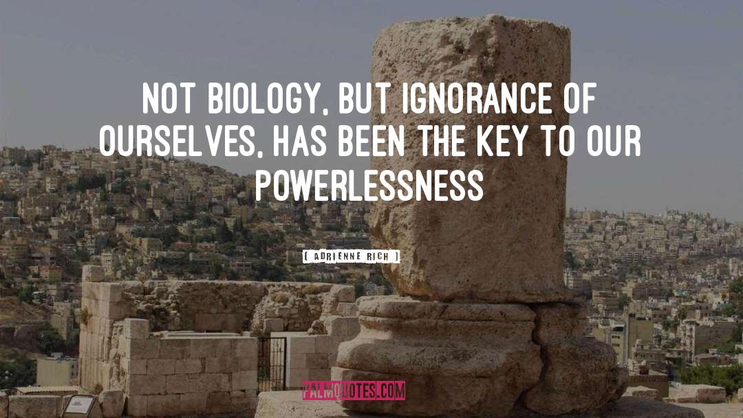 Powerlessness quotes by Adrienne Rich