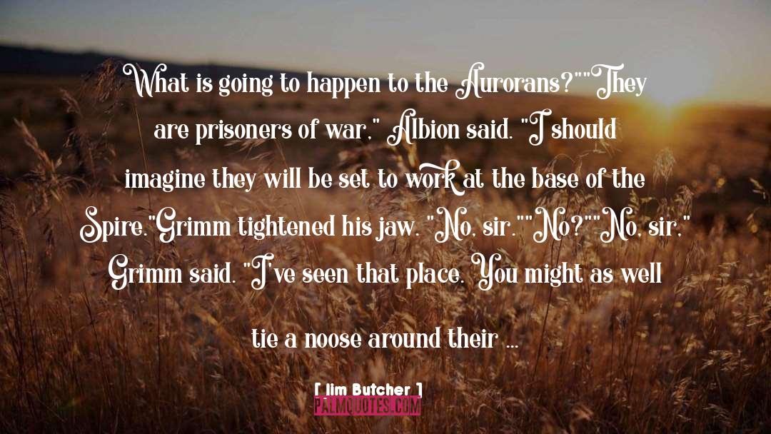 Pows quotes by Jim Butcher