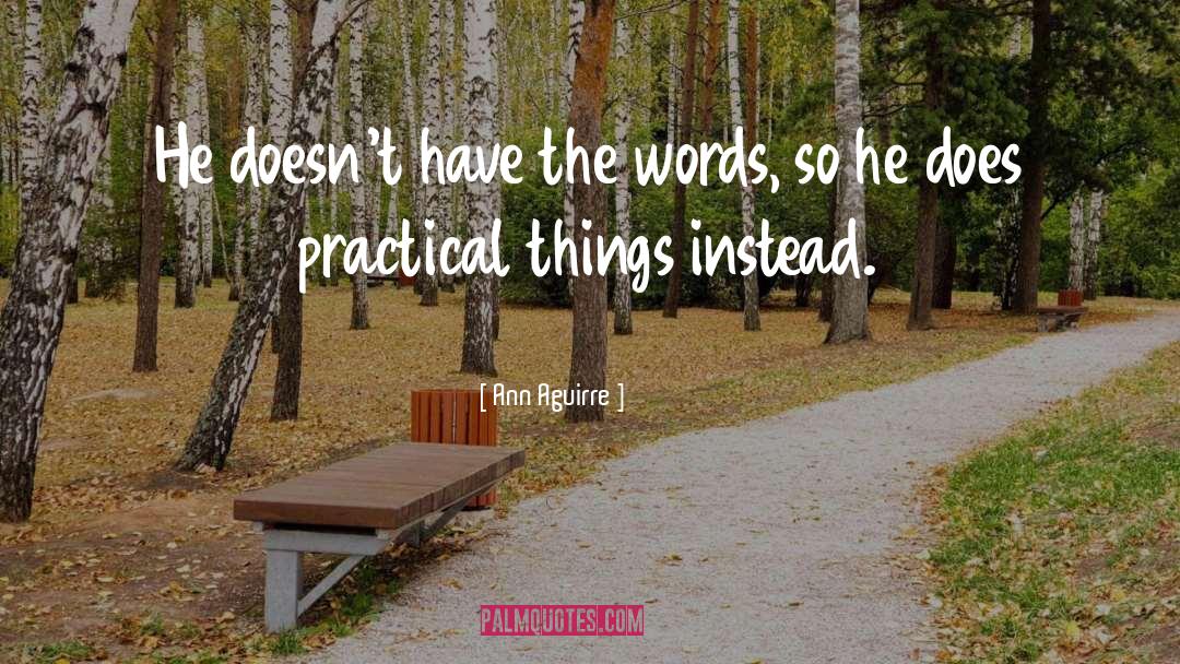 Practical Things quotes by Ann Aguirre