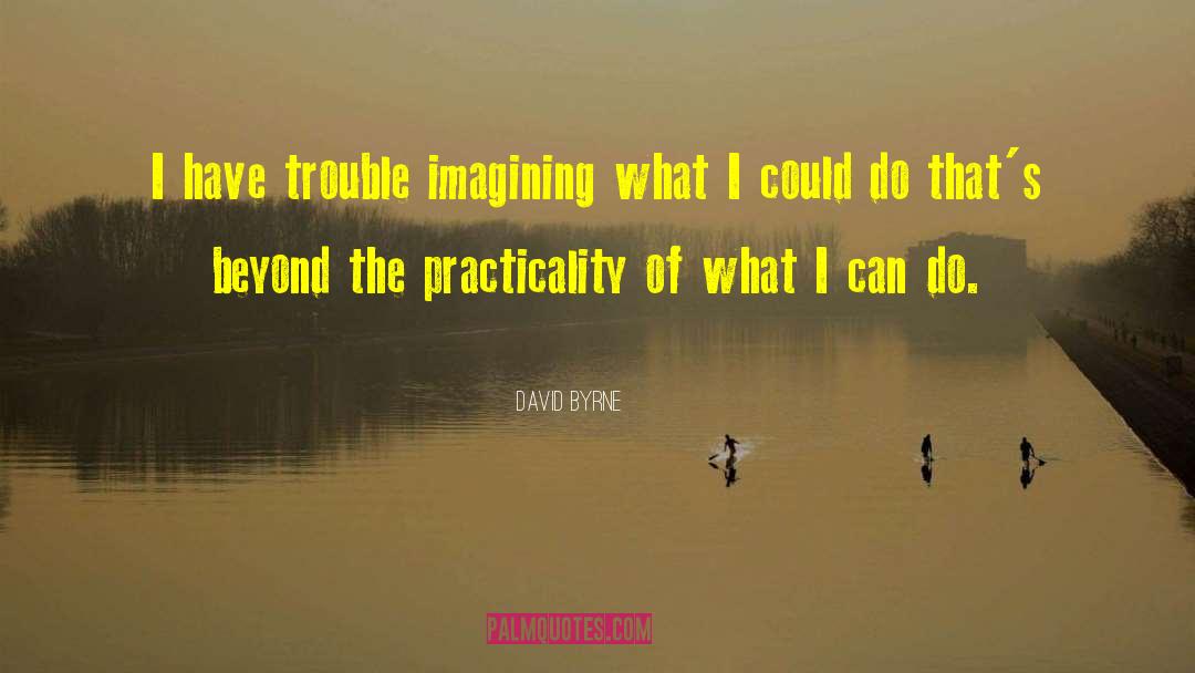 Practicality quotes by David Byrne