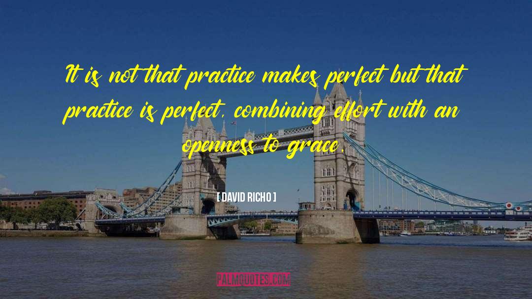 Practice Makes Perfect quotes by David Richo