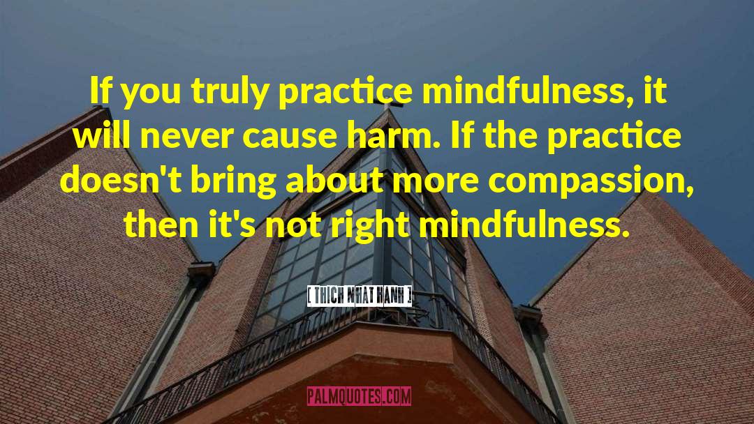 Practice Mindfulness quotes by Thich Nhat Hanh