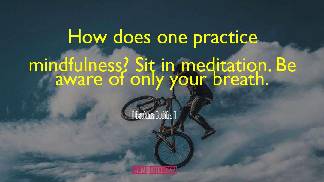 Practice Mindfulness quotes by Gautama Buddha