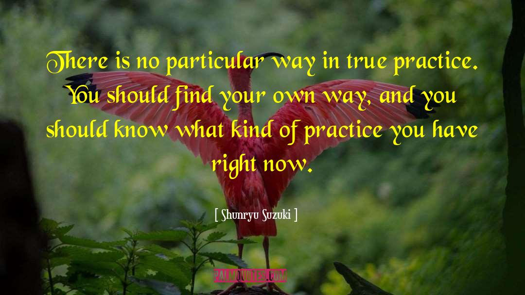 Practice Mindfulness quotes by Shunryu Suzuki