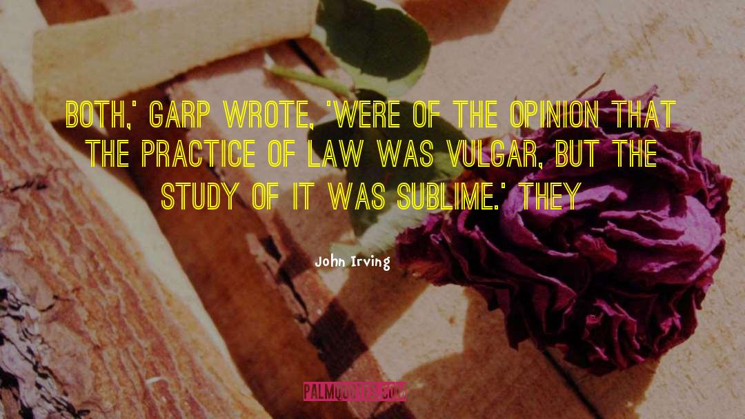 Practice Of Law quotes by John Irving
