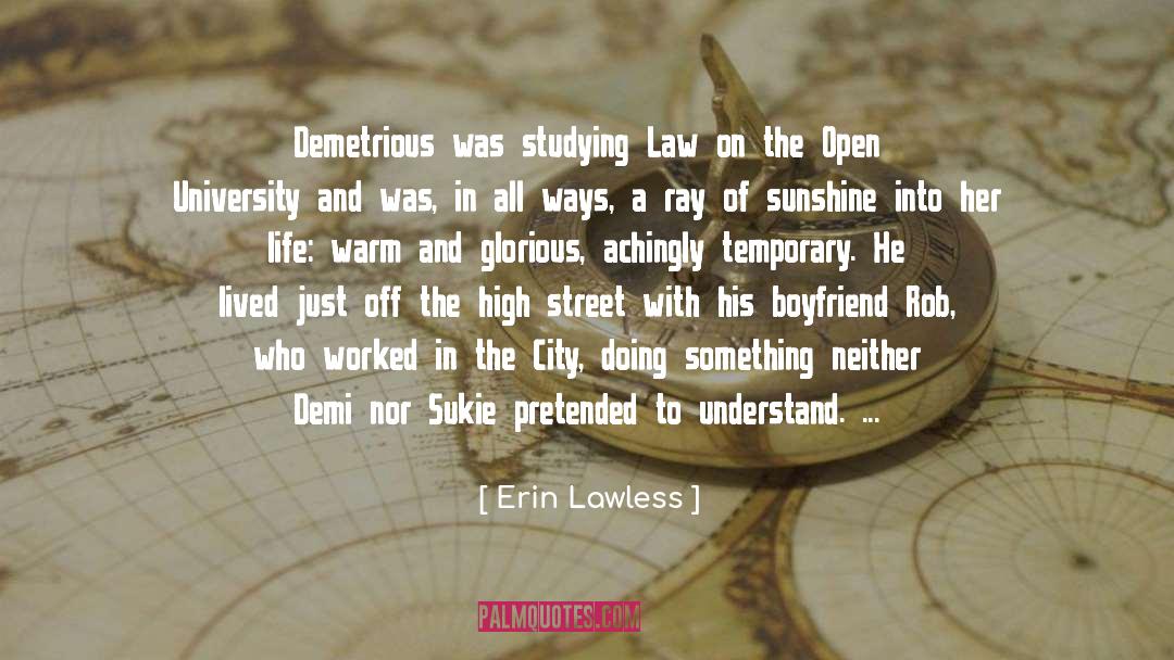 Practice Of Law quotes by Erin Lawless
