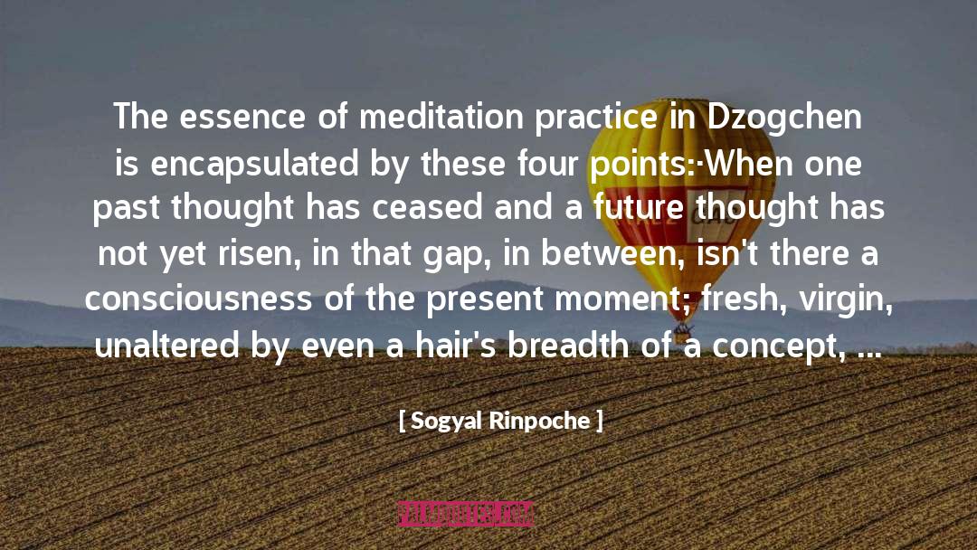 Practice Preach quotes by Sogyal Rinpoche