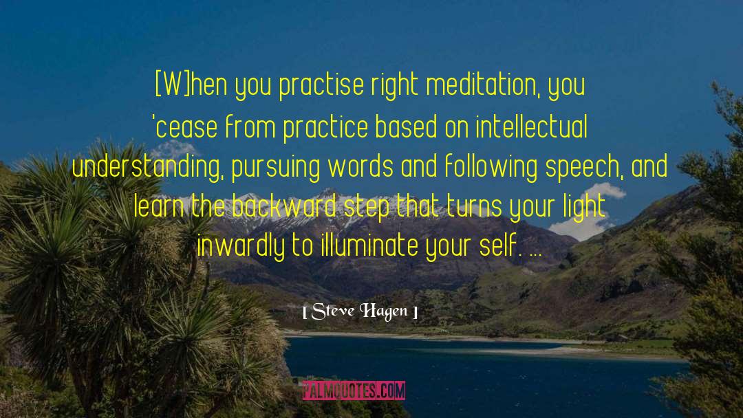 Practise quotes by Steve Hagen